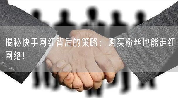 揭秘快手网红背后的策略:购买粉丝也能走红网络!