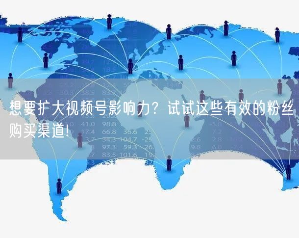 想要扩大视频号影响力?试试这些有效的粉丝购买渠道!