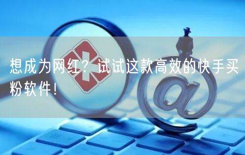 想成为网红?试试这款高效的快手买粉软件!