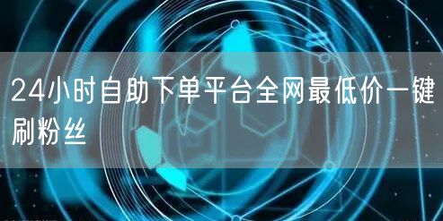 24小时自助下单平台全网最低价一键刷粉丝