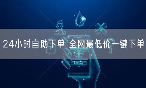 24小时自助下单 全网最低价一键下单