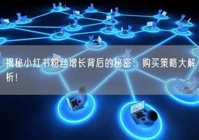 揭秘小红书粉丝增长背后的秘密:购买策略大解析!