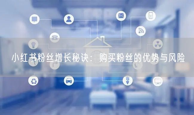 小红书粉丝增长秘诀:购买粉丝的优势与风险