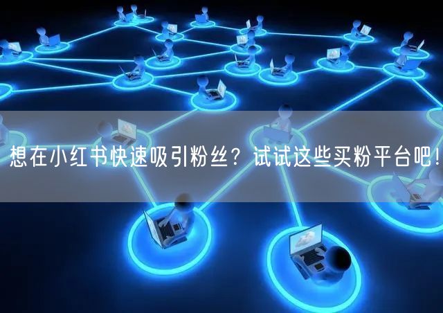 想在小红书快速吸引粉丝?试试这些买粉平台吧!