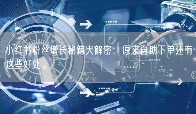 小红书粉丝增长秘籍大解密:原来自助下单还有这些好处。