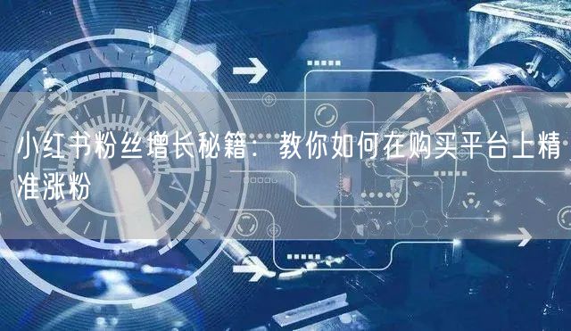 小红书粉丝增长秘籍:教你如何在购买平台上精准涨粉
