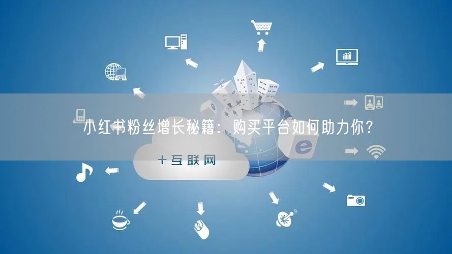 小红书粉丝增长秘籍:购买平台如何助力你?