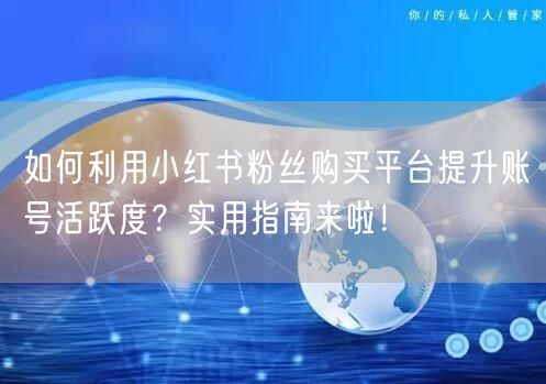 如何利用小红书粉丝购买平台提升账号活跃度?实用指南来啦!